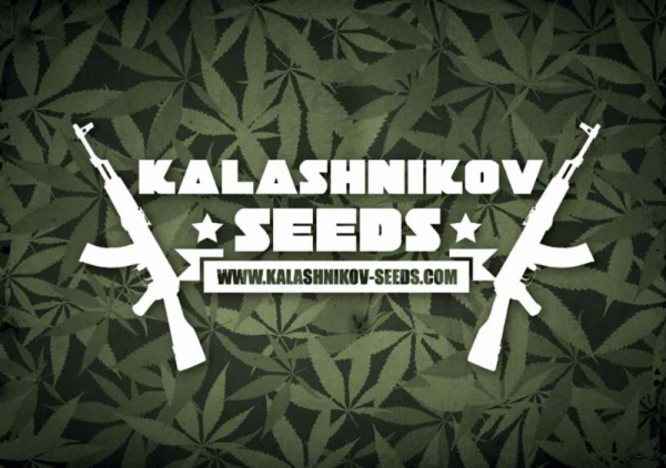 Kalashnikov Seeds