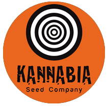 Kannabia