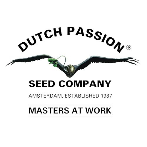 Dutch Passion