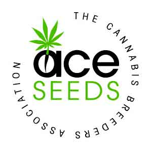 Ace Seeds