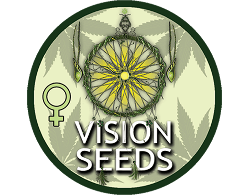 Vision Seeds