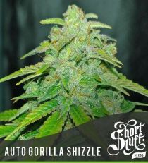 Auto Gorilla Shizzle by Short Stuff