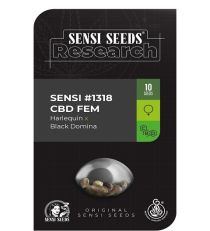 Sensi #1318 CBD (Harlequin X Black Domina) by Sensi Seeds 