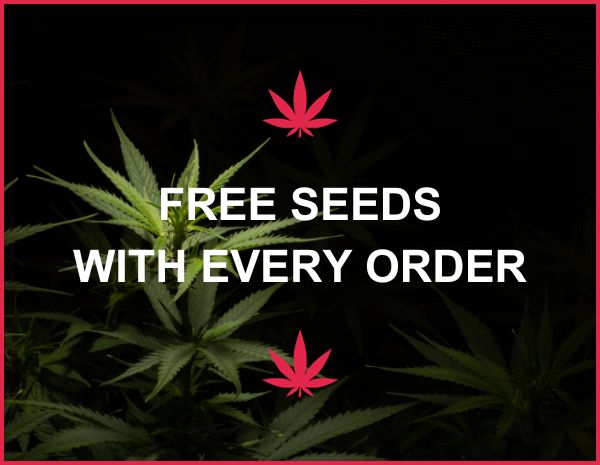 Free Seeds